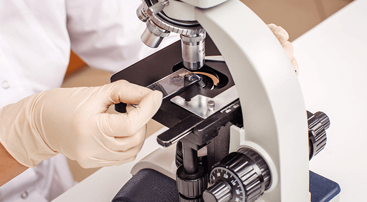 A lab worker using a microscope to see a pet sample.